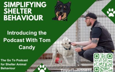 Introducing the podcast!