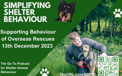 Ep. 03 Supporting Overseas Shelter Dogs With Toby Craze