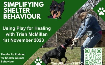 Ep. 01 Social Facilitation and Play in Shelter Dogs with Trish Mcmillan