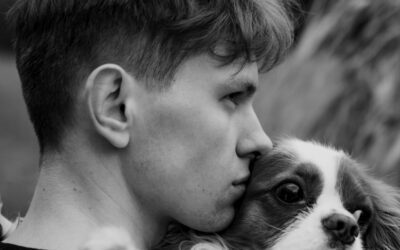 A Dog Rescue Journey- Intake