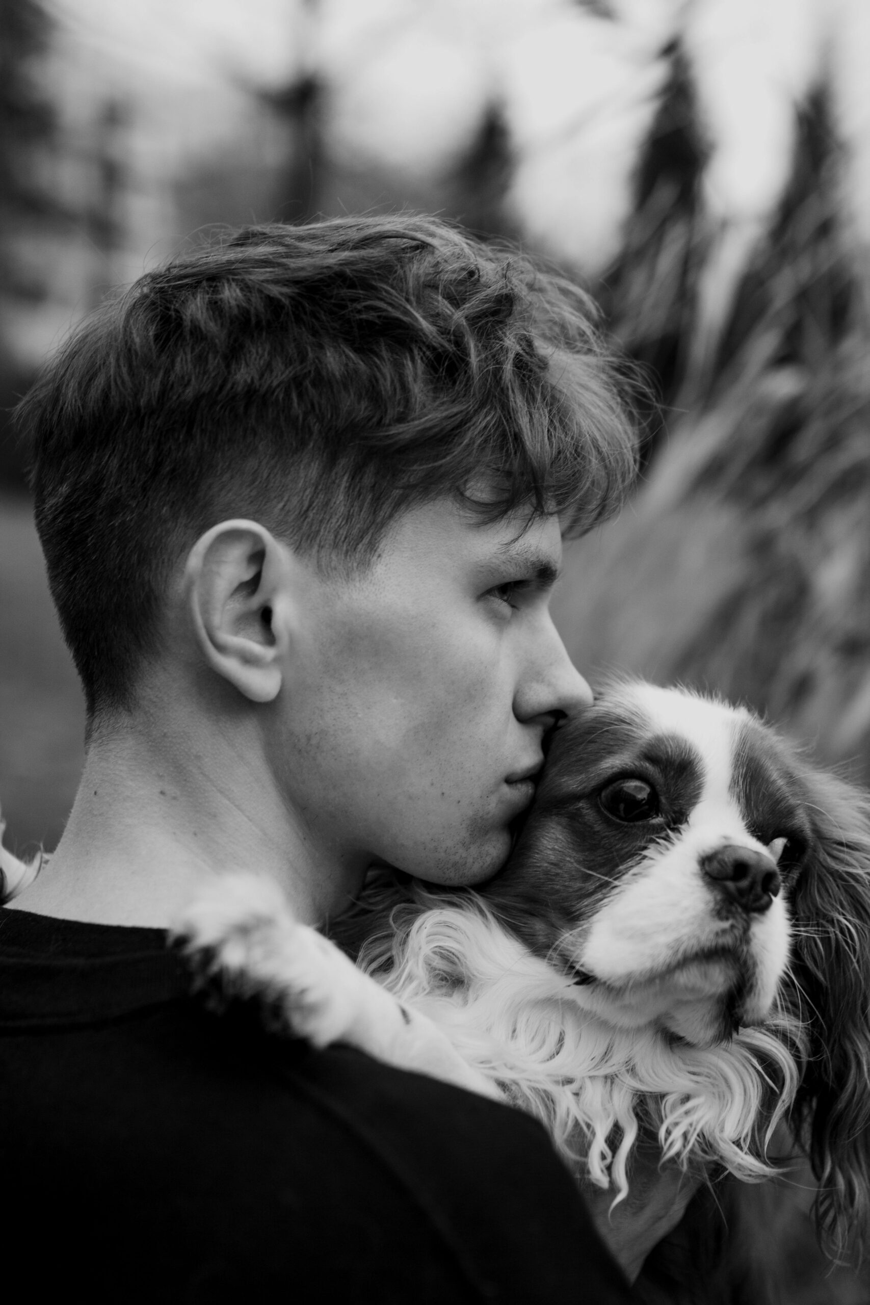 A Dog Rescue Journey- Intake
