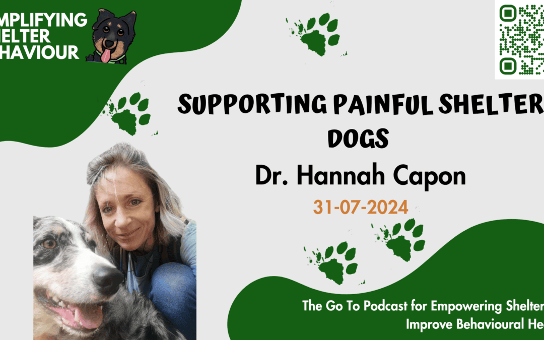 Ep. 19 Supporting Painful Shelter Dogs with Dr Hannah Capon