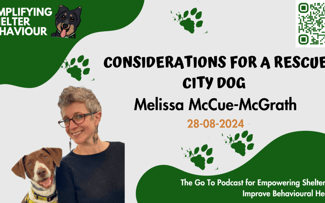 Ep. 20 Considerations of a Rescue City Dog with Mellisa McCue-McGrath