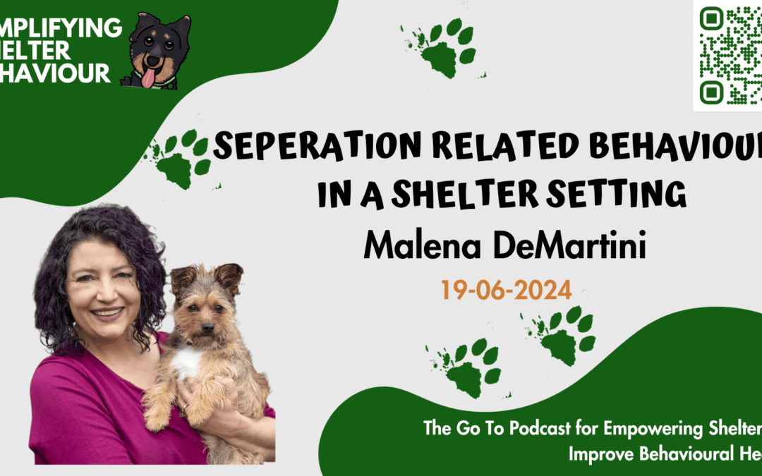 Ep. 16 Separated Related Behaviours in the Shelter Setting with Malena DeMartini