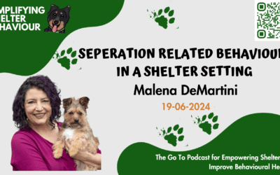 Ep. 16 Separated Related Behaviours in the Shelter Setting with Malena DeMartini