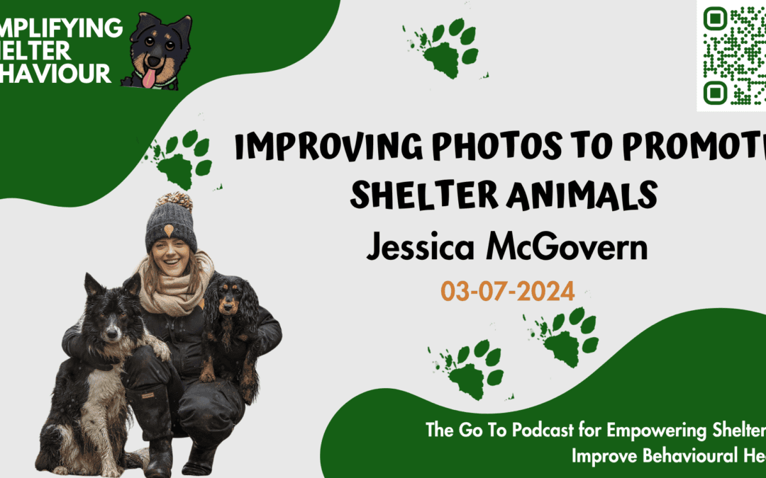 Ep. 17 Improving Photos to Promote Shelter Animals with Jessica McGovern